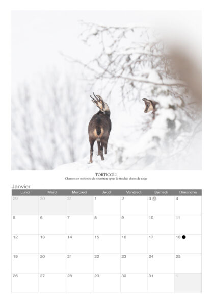 Calendrier photo 2026 - "Animaux" – Image 4