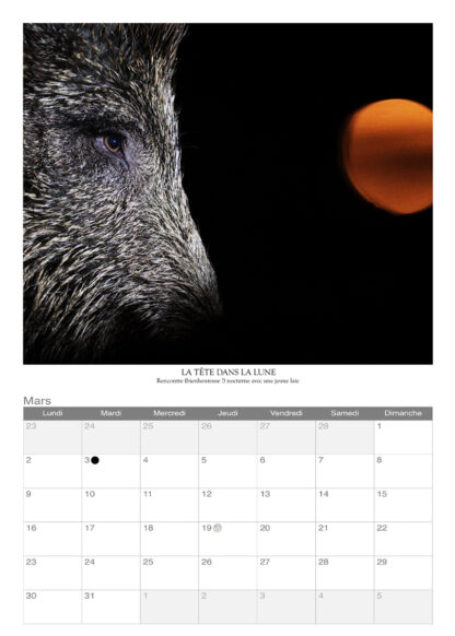 Calendrier photo 2026 - "Animaux" – Image 3