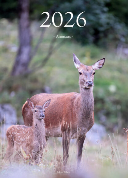 Calendrier photo 2026 - "Animaux"