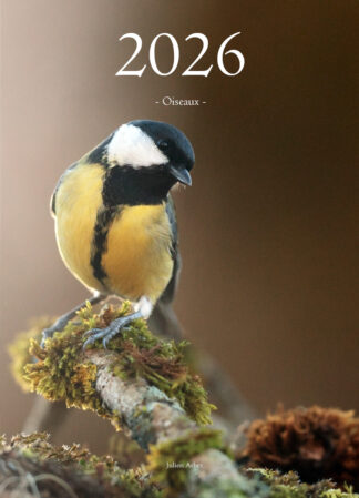 Calendrier photo 2025 - "Oiseaux"