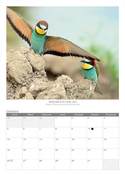 Calendrier photo 2025 - "Oiseaux" – Image 2