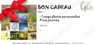 Bon-cadeau stage photo personnalisé (une journée)