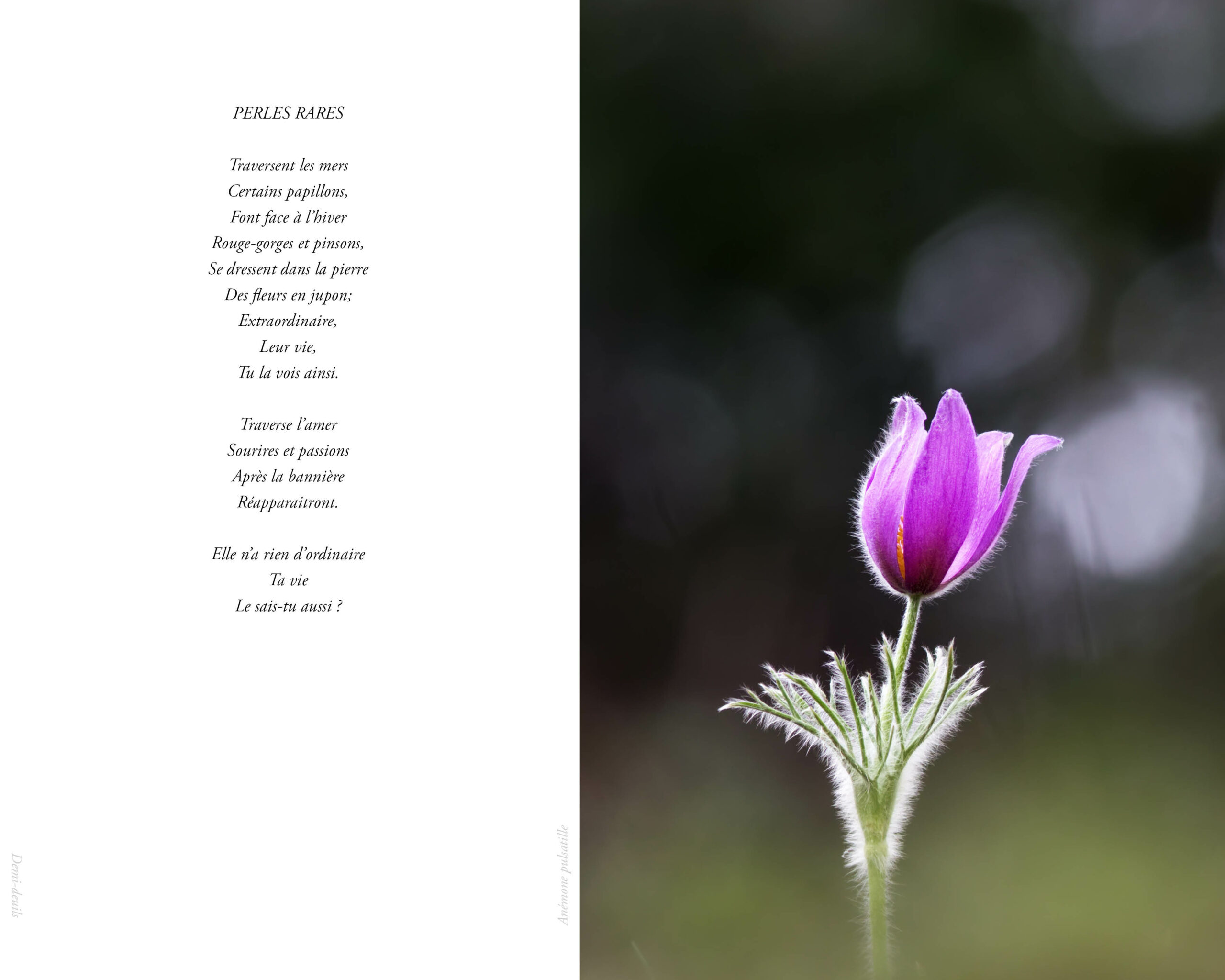 Livre « Confidences » en Prévente ! – Image 3