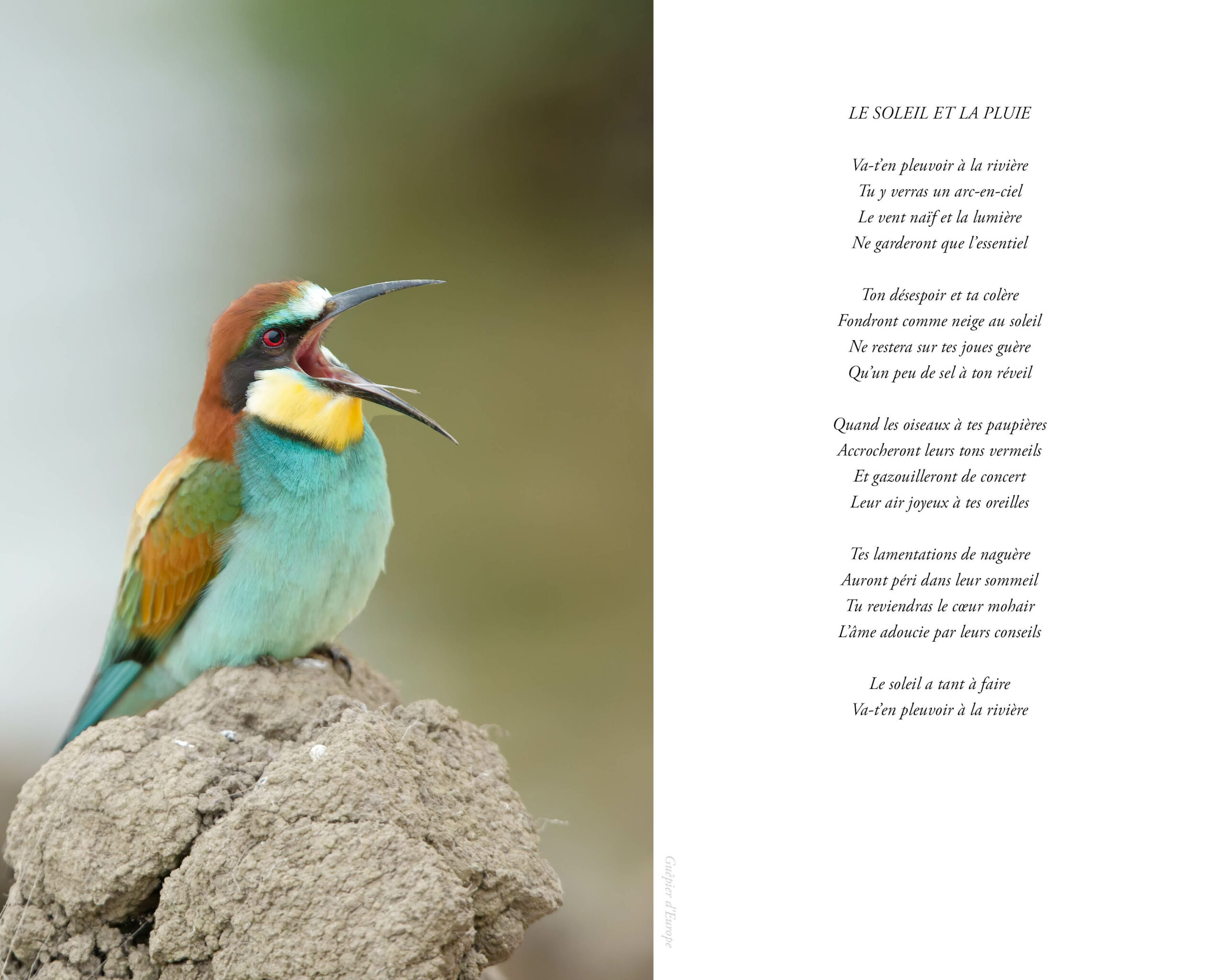 Livre « Confidences » en Prévente ! – Image 4