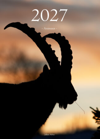Calendrier photo 2027 - "Animaux"