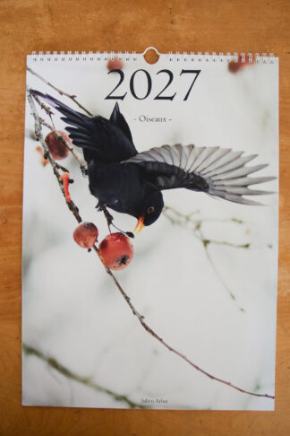 Calendrier photo 2027 - "Oiseaux"