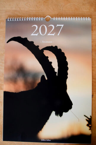 Calendrier photo 2027 - "Animaux"