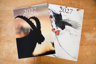 Lot de 2 Calendriers photo 2027 - "Oiseaux" et "Animaux"
