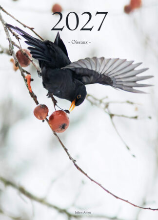 Calendrier photo 2027 - "Oiseaux"