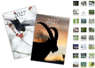 Lot de 2 Calendriers photo 2027 - "Oiseaux" et "Animaux"
